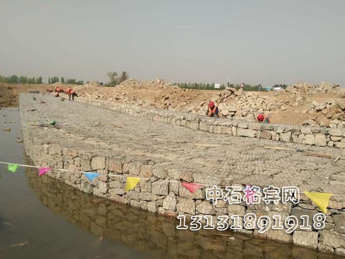 護堤雷諾護墊價格規格13131891918