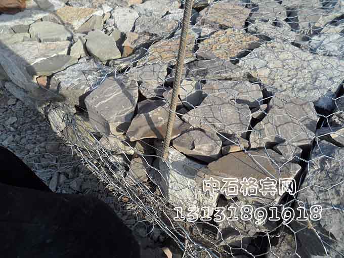 鍍高爾凡雷諾護墊 鍍高爾凡雷諾護墊