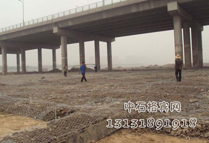 雙隔板雷諾護墊 雙隔板雷諾護墊